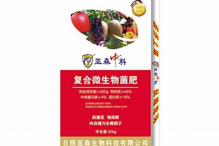 做干花可以晒太阳吗