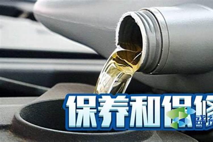 黄金菊的养殖方法和注意事项