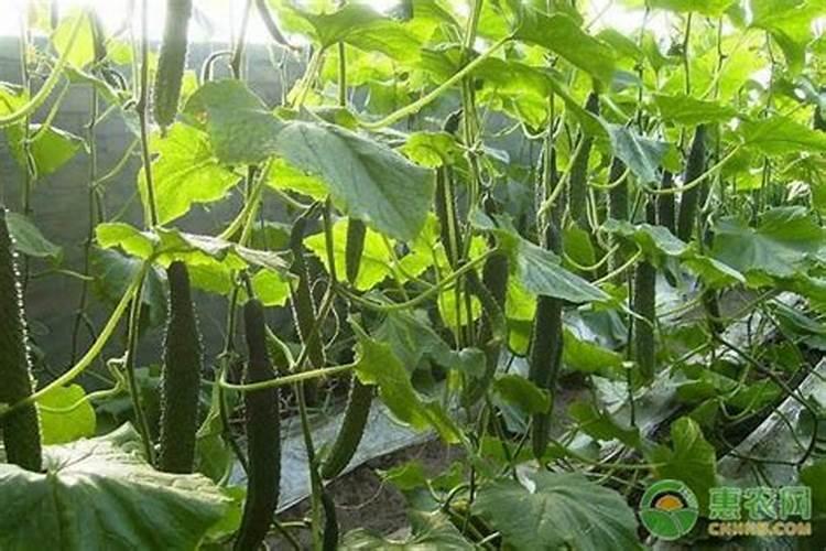 带孩子去山西玩需要注意什么