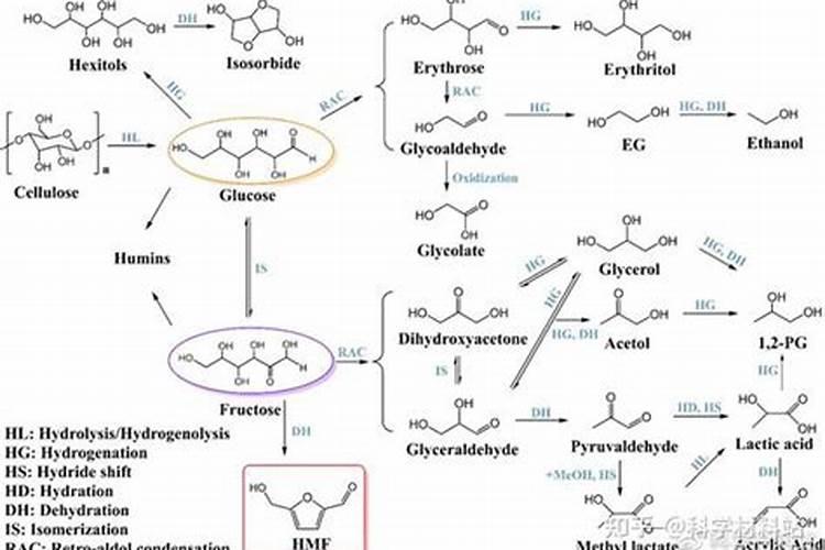 黄腐酸钾拌料栽培食用菌方法