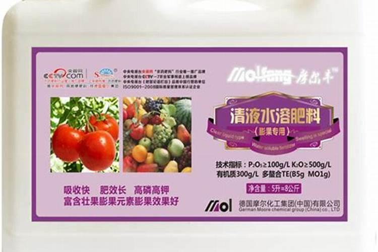 果树浇水的正确方法