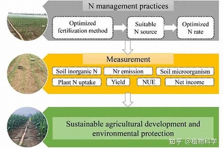 川椒种业:干制辣椒生产中氮肥施用的重要性