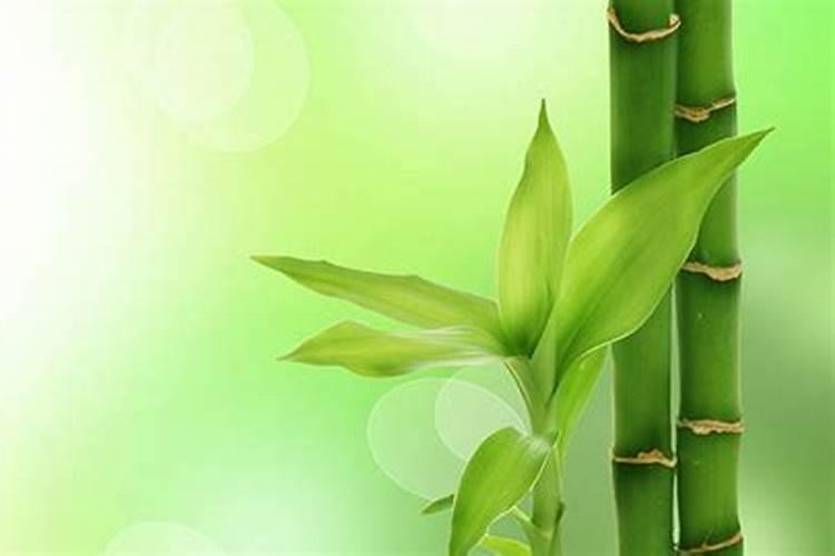 甜瓜促早熟的方法有哪些