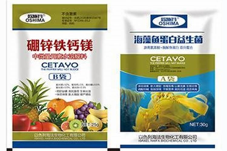 鱼的功效与作用 鱼营养价值有哪些