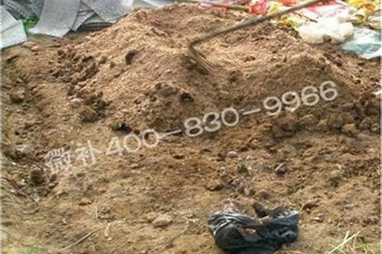 无花果施肥的正确方法