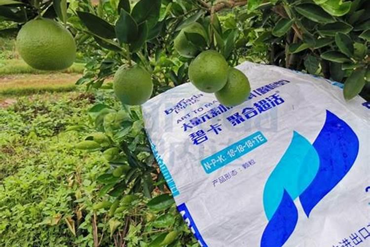 兰花缺肥的症状(附缺肥处理方法)