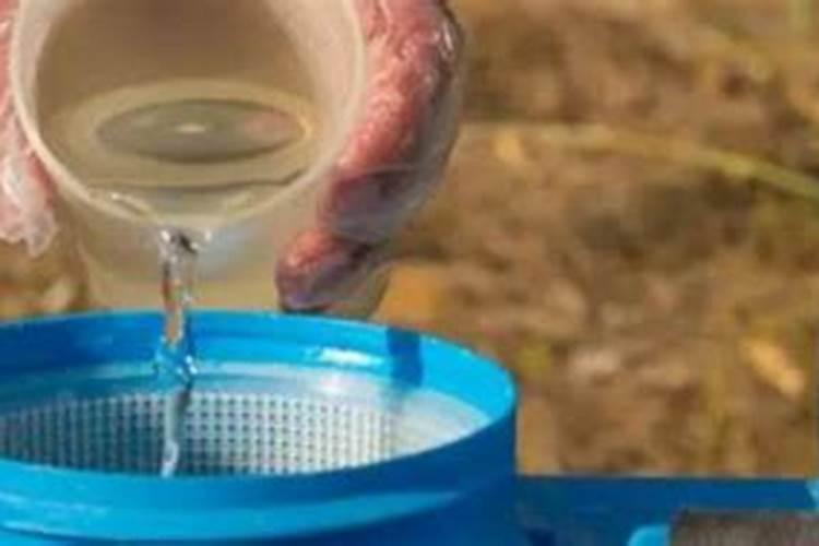 梨木虱防治最佳农药