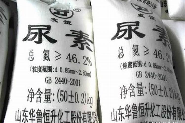 黑坑下化肥怎样钓鱼