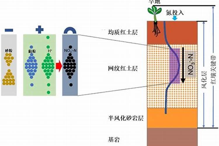 使用哪类化肥会使土壤板结