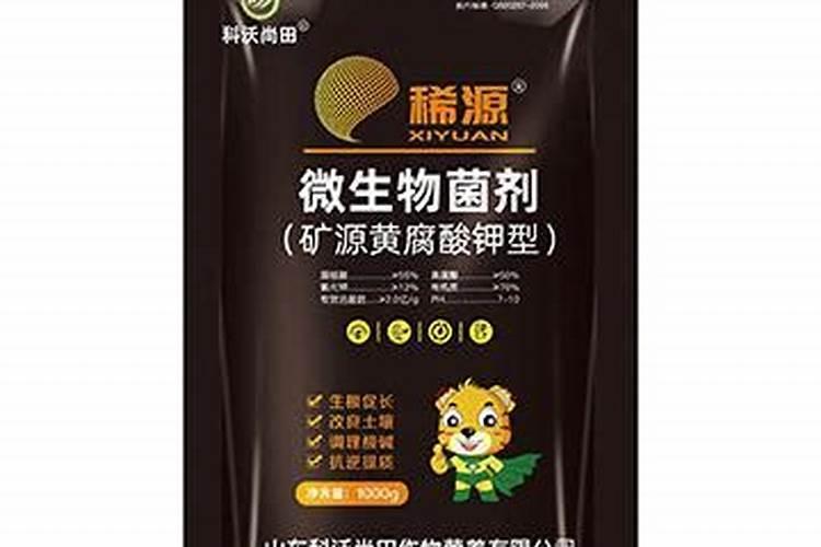 如何判断兰花缺水缺肥,如何补水补肥