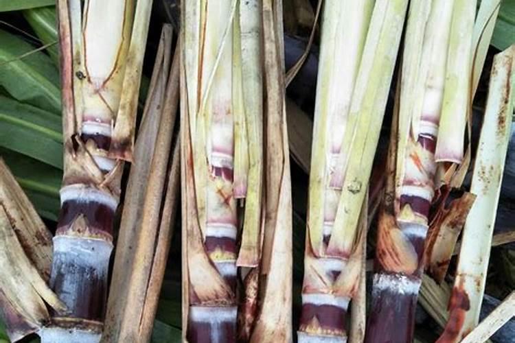 农易收肥料价格一览表