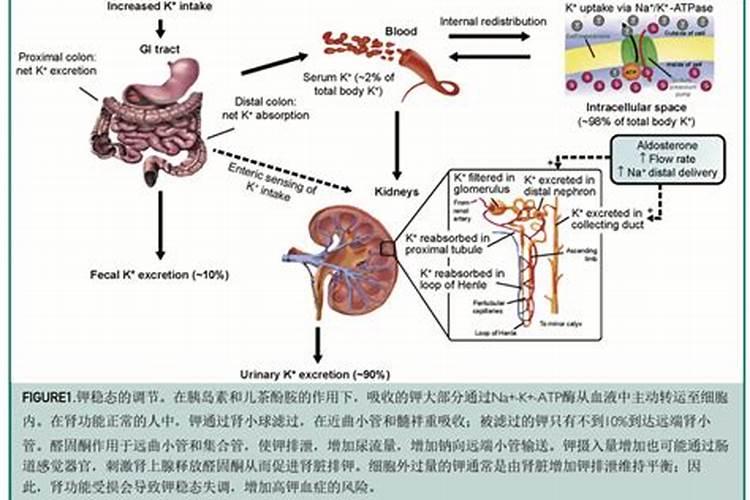多少个钾才叫高钾肥