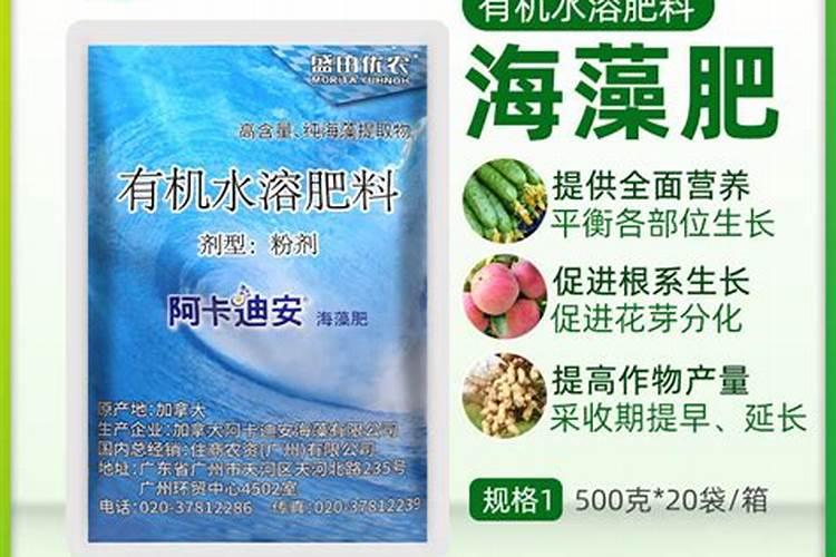 柑橘花芽分化用什么肥