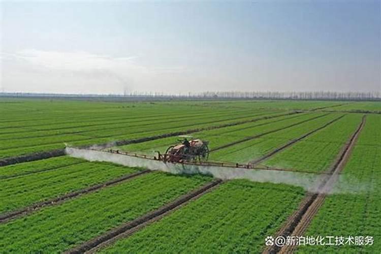 怎样销售水溶肥