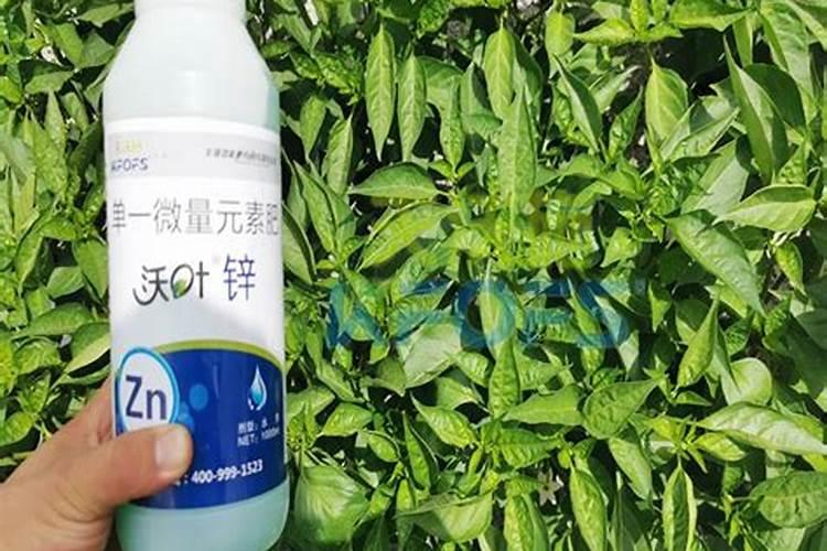 辣椒用钙镁硼锌铁肥好吗