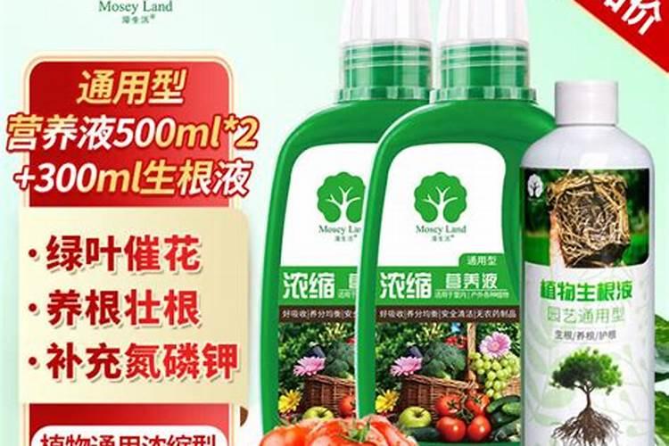 生根水、活力素和复活液都是什么？如何正确使用？