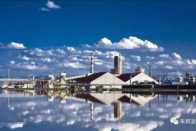 滨地钾肥为什么亏损