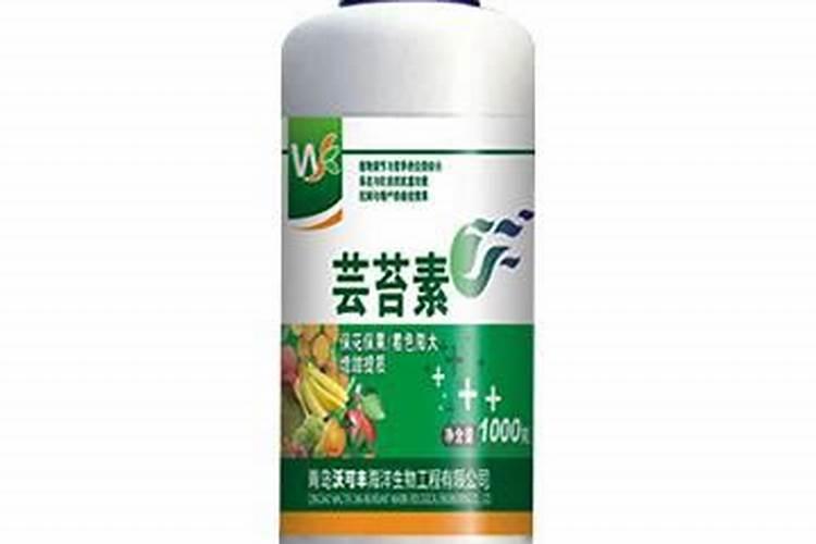 芸苔素内酯开花期能打吗