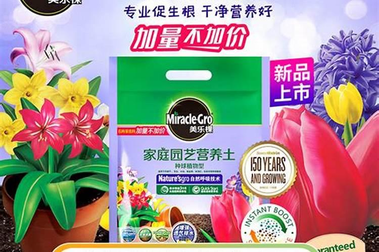 球根花卉需要施什么肥