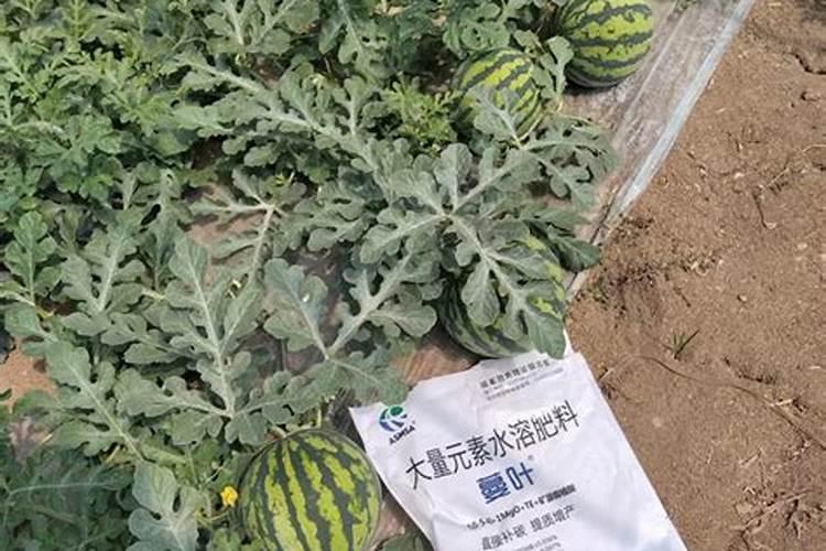 水溶肥能代替复合肥吗