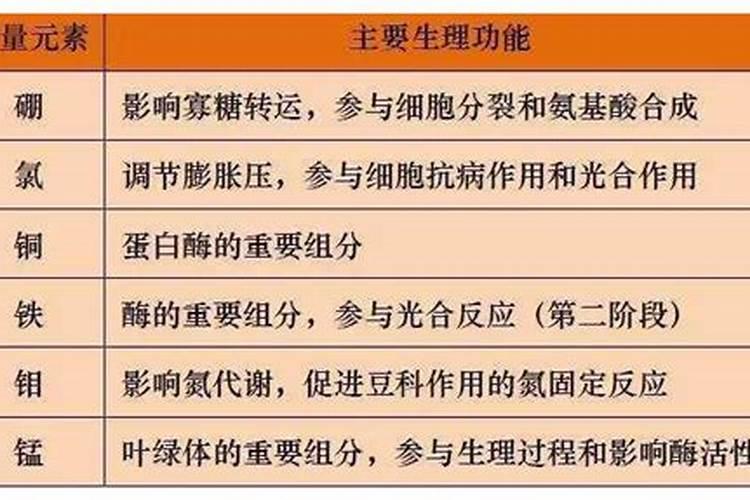 「每日一农经」为什么使用叶面肥？叶面肥有哪些好处？