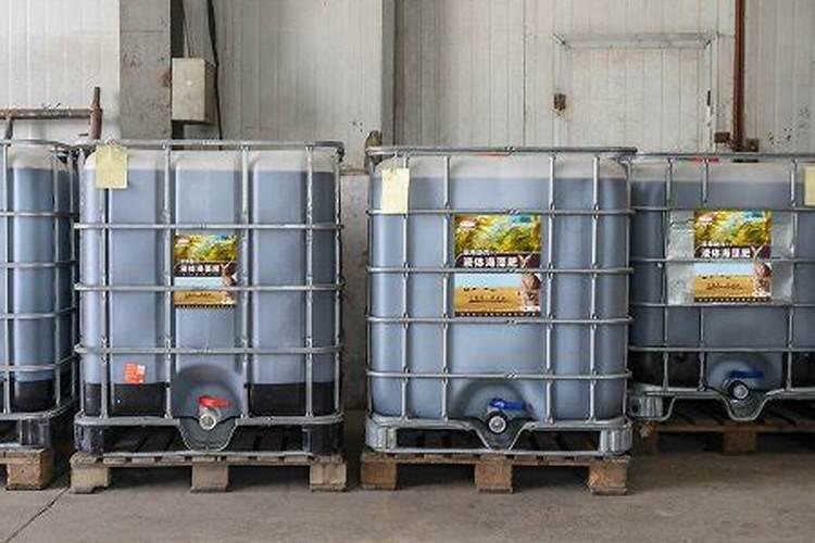 海藻肥哪个品牌的好