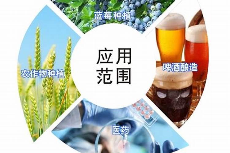 蓝莓用什么肥料最合适怎样给蓝莓施肥