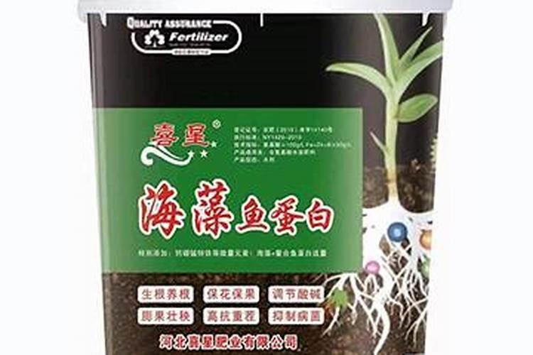 海藻肥都十年了,你还在被忽悠吗？一篇文章让你了解透