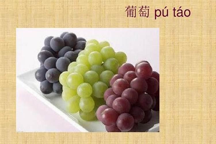 红薯的高产栽培技术