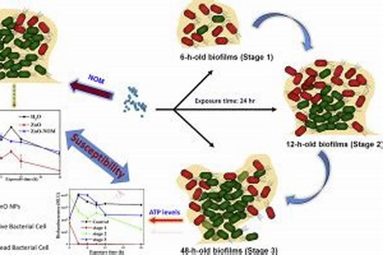 腐植酸钠水产使用大忌