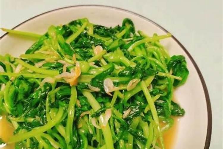 青菜施肥了几天后可以吃