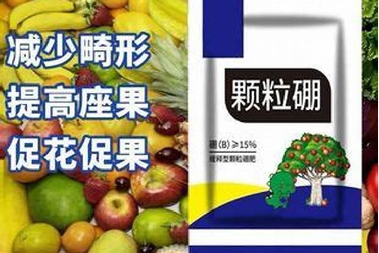 蚂蚁药对槟榔树有影响吗