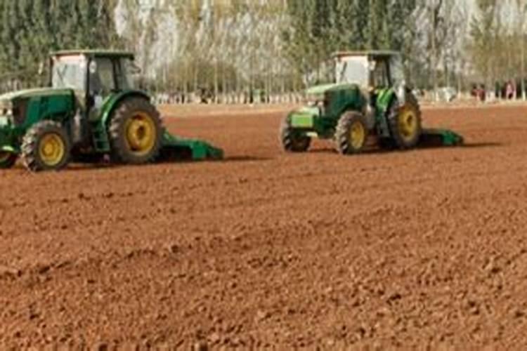 种一亩小麦上一代尿素和一代二铵行吗