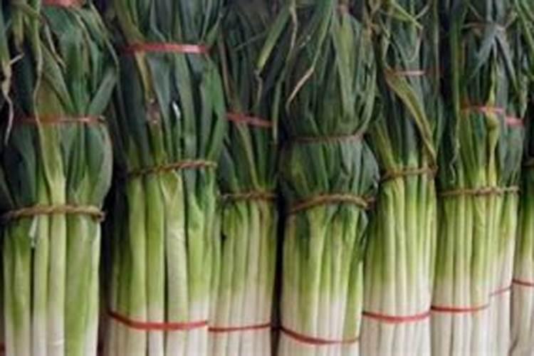 大葱叶面喷什么肥料好 用什么肥料长的快