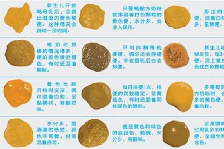 天然磷肥有哪些