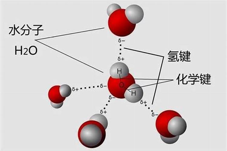 硅为什么不是金属