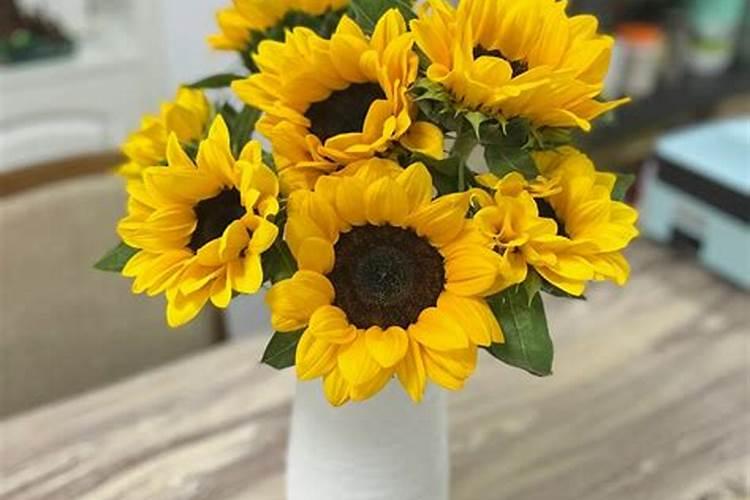 向日葵怎么施肥