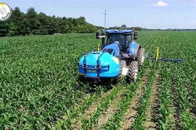 追肥用什么肥料