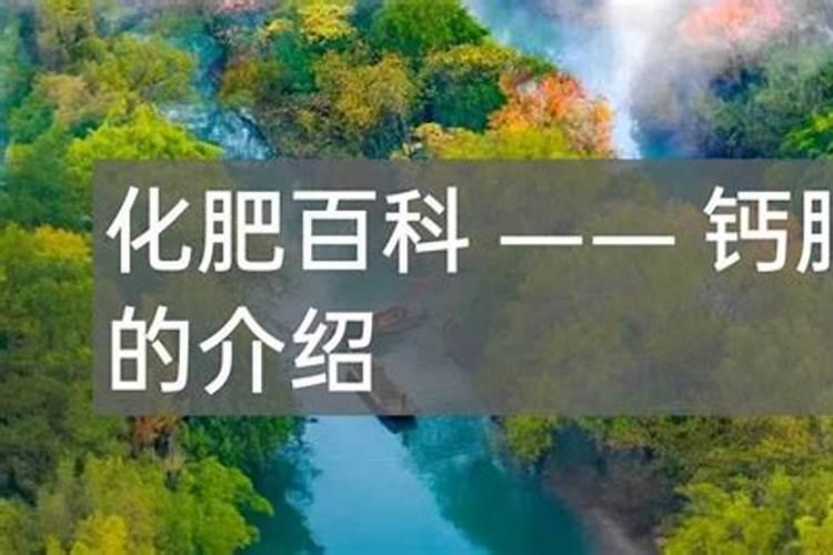 绿化草皮打杂草药要什么时间打更好