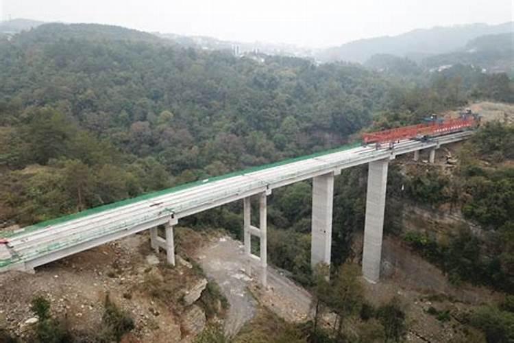 排名前十的微生物菌肥