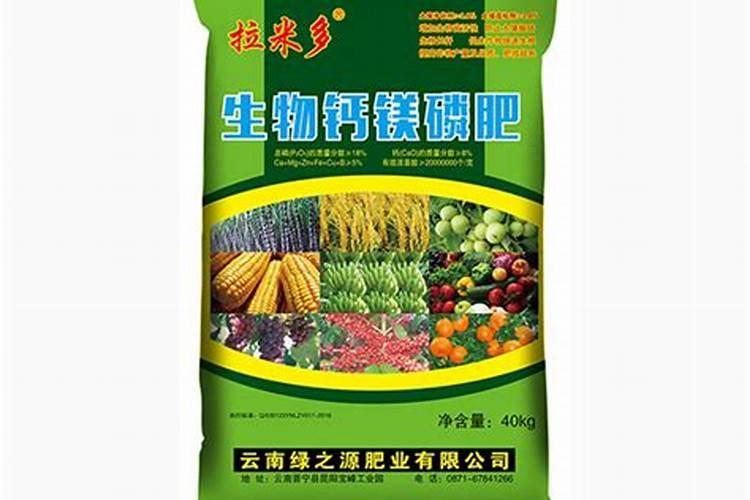 小青菜生虫用什么农药