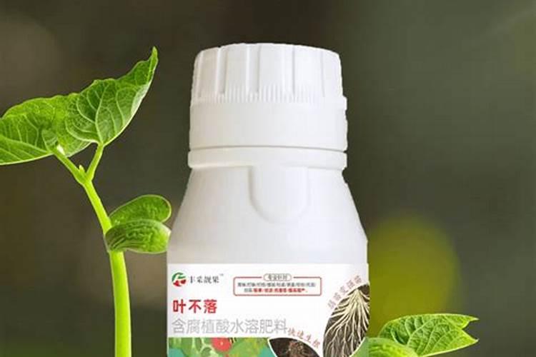 高温干旱天气可以喷叶面肥吗