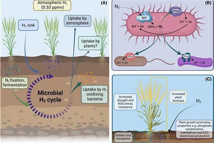 某地1000kg化肥的市场价格如下:CO(NH2)2为1780元,NH4NO3为1360元,NH4...