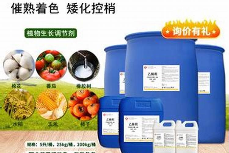 玉米什么时候浇水杆子粗壮