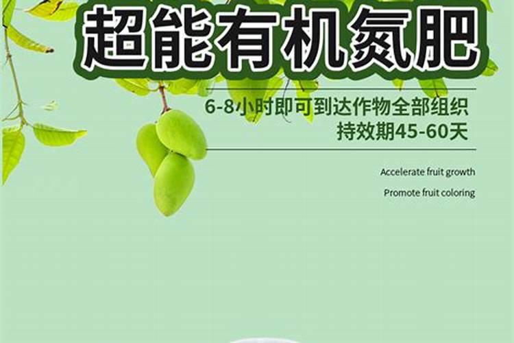 柿子树能上肥料吗