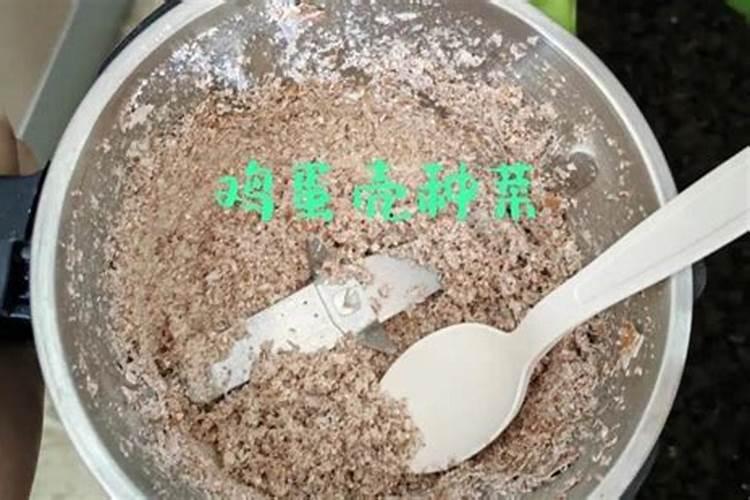 磷肥多久浇一次水