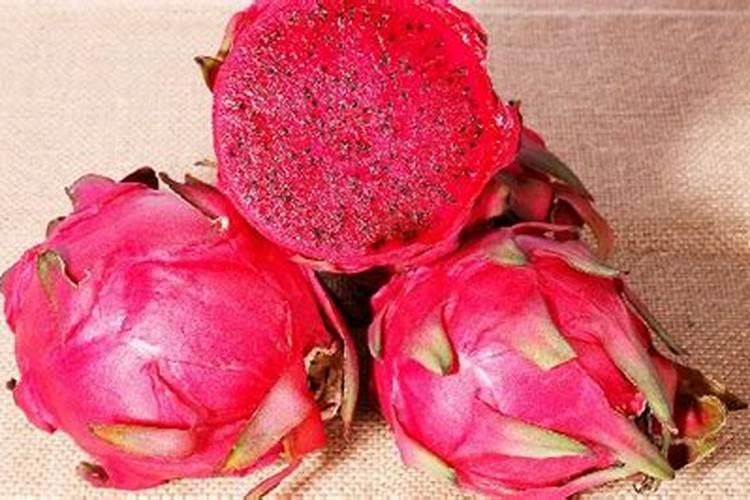 火龙果成熟了会得哪些毛病