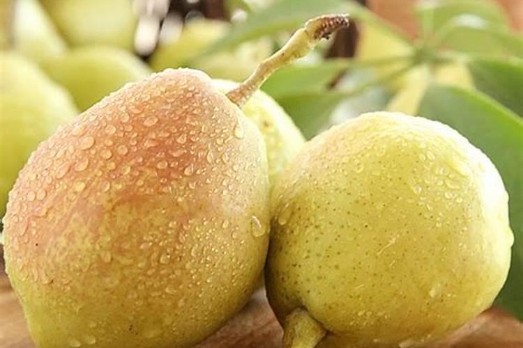 梨子采完什么时间施肥