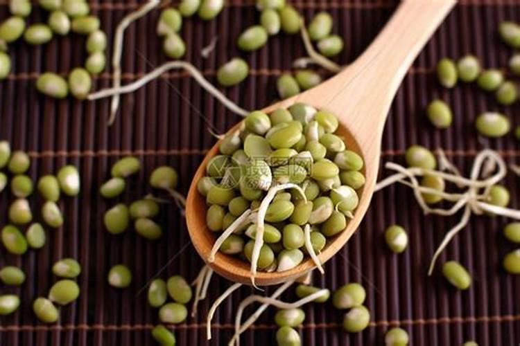 天然有机氮肥有哪些有机氮肥是什么