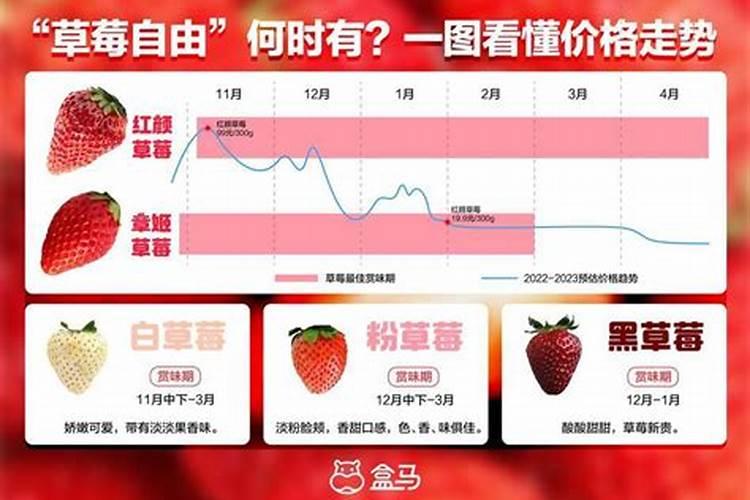 钾肥的最佳使用时间